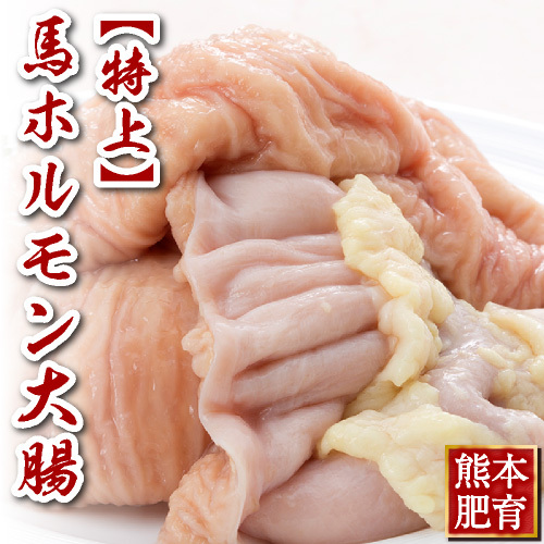 【特上】生ホルモン大腸(500g/パック)