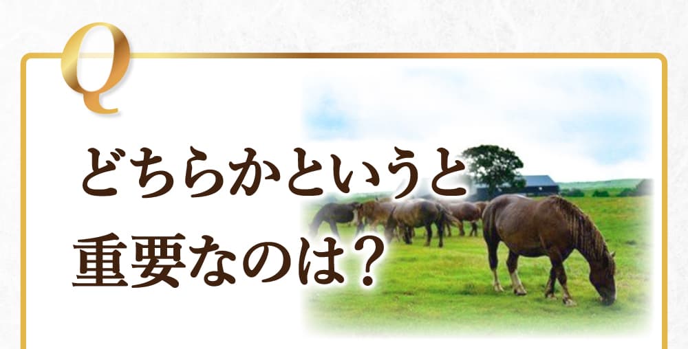 どちらかというと重要なのは?