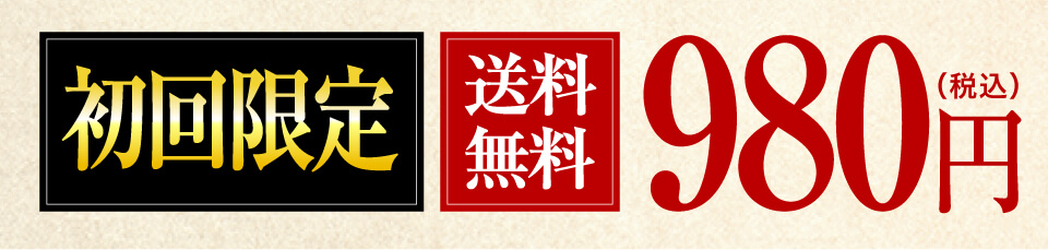送料無料980円
