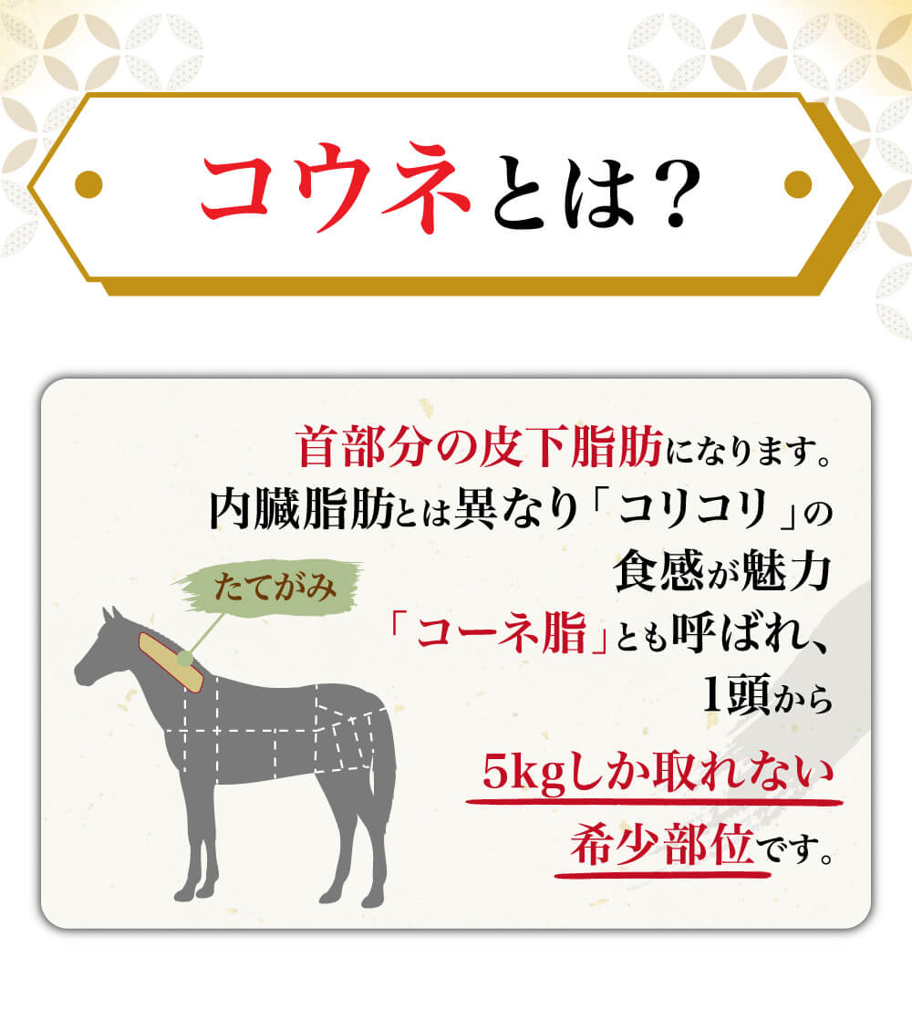 コウネ刺し約100g(1kg)(海外産） ｜ 業務用馬刺し専門店 利他フーズ