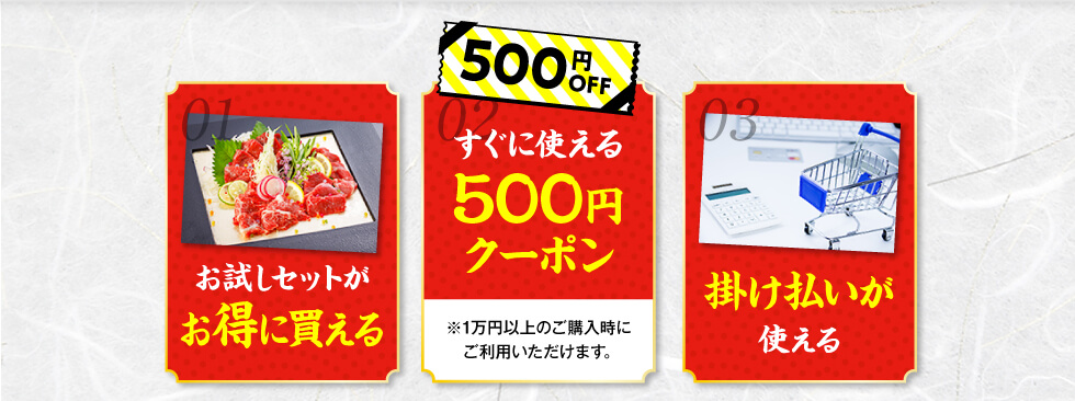 お試しセットがお得に変える、すぐに使える500円クーポン