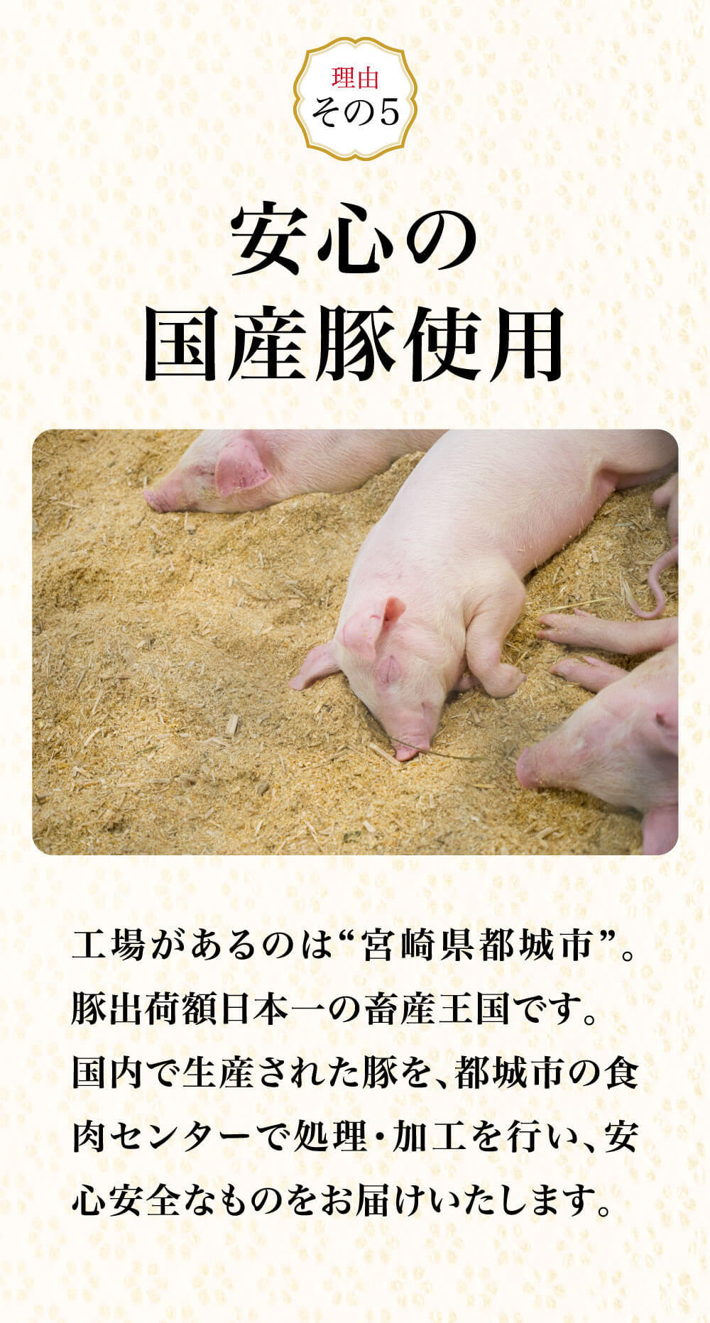 安心の国産豚使用