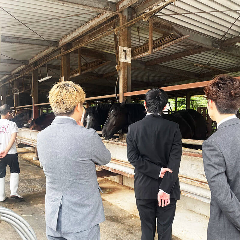 牧場見学